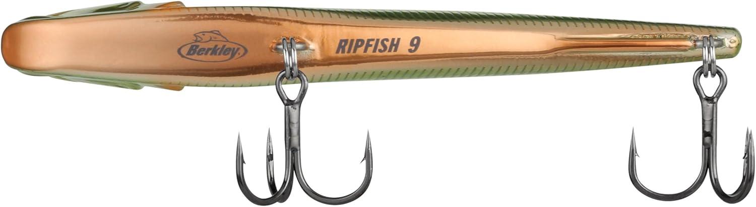 imageBerkley Ripfish Fishing Hard BaitChrome Perch