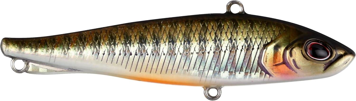 imageBerkley Ripfish Fishing Hard BaitDark Shiner