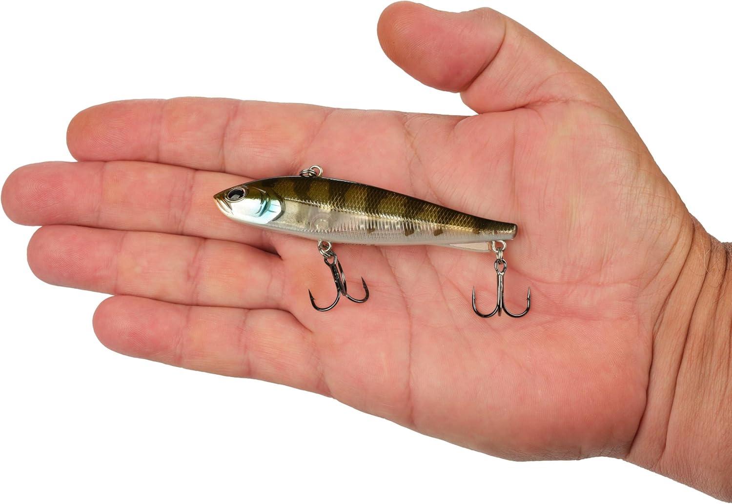 imageBerkley Ripfish Fishing Hard BaitGhost Chrome Gill