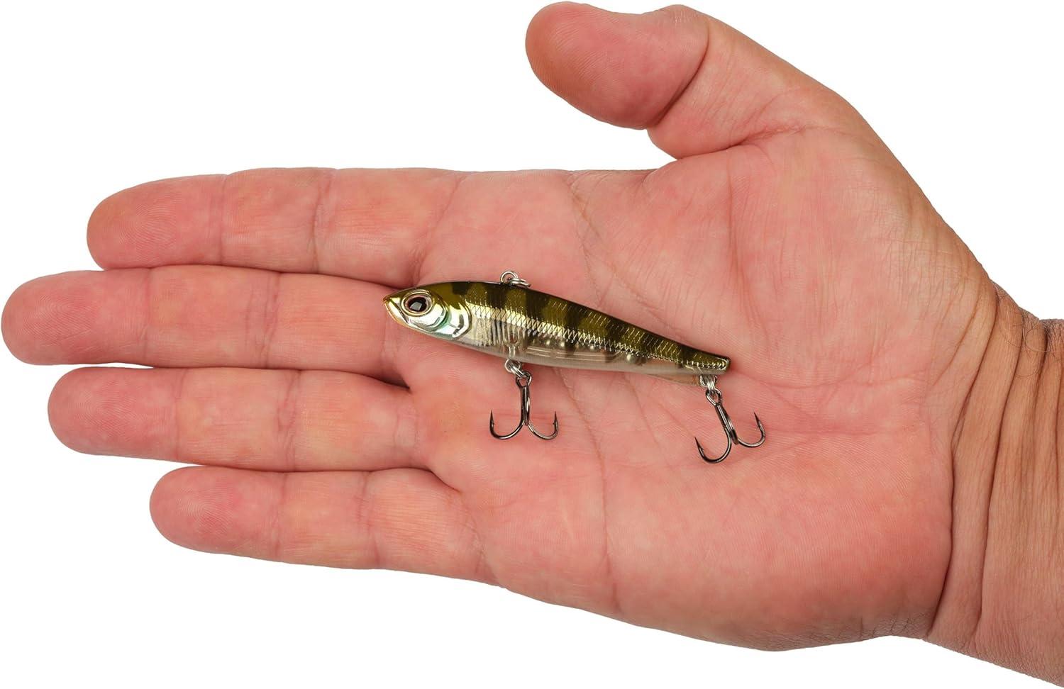 imageBerkley Ripfish Fishing Hard BaitGhost Chrome Gill