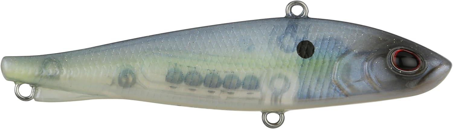 imageBerkley Ripfish Fishing Hard BaitGhost Sexy Shad