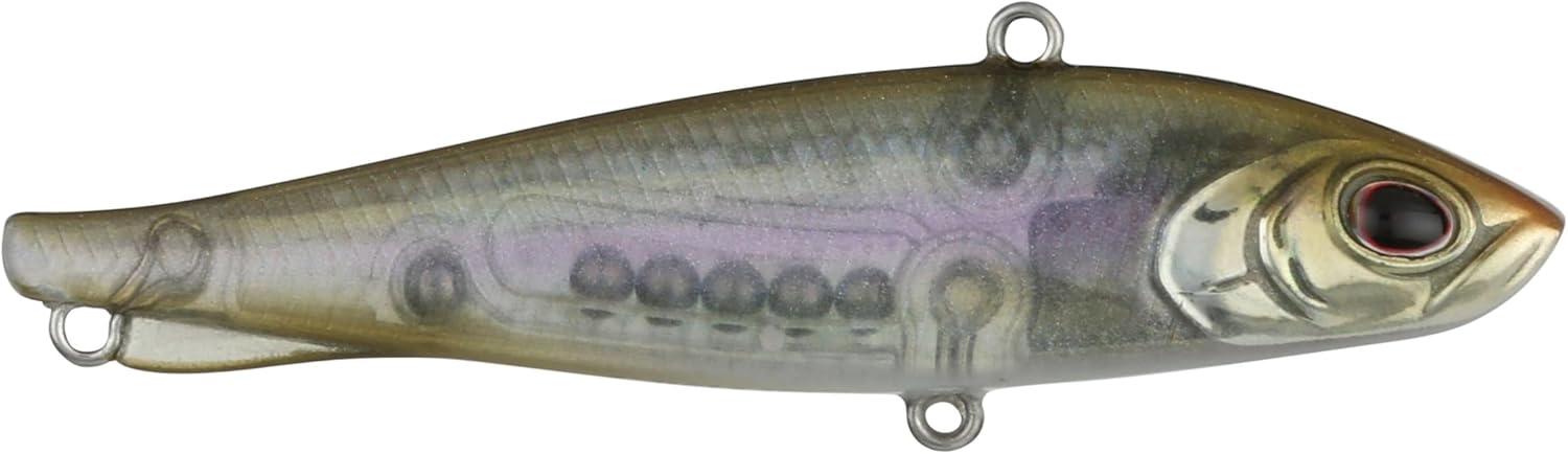 imageBerkley Ripfish Fishing Hard BaitGhost Shiner