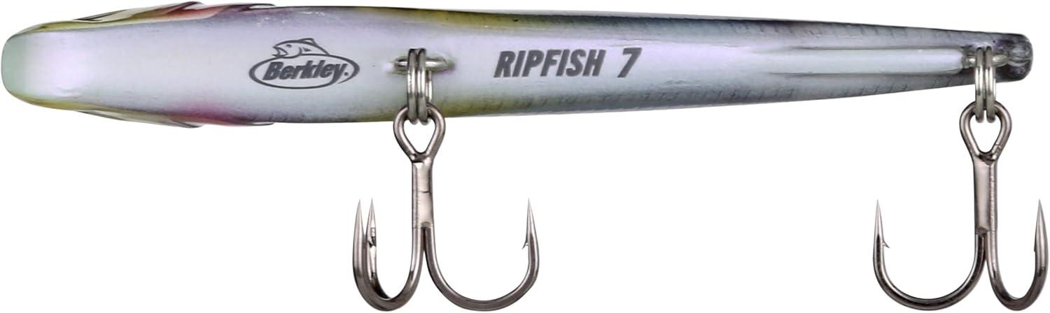 imageBerkley Ripfish Fishing Hard BaitMinnowsota