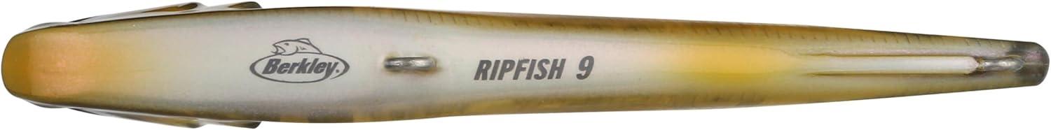 imageBerkley Ripfish Fishing Hard BaitPerch
