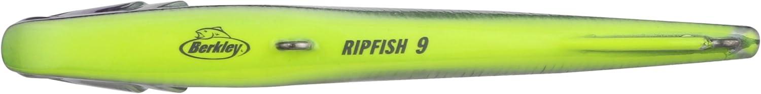 imageBerkley Ripfish Fishing Hard BaitPurple Slime