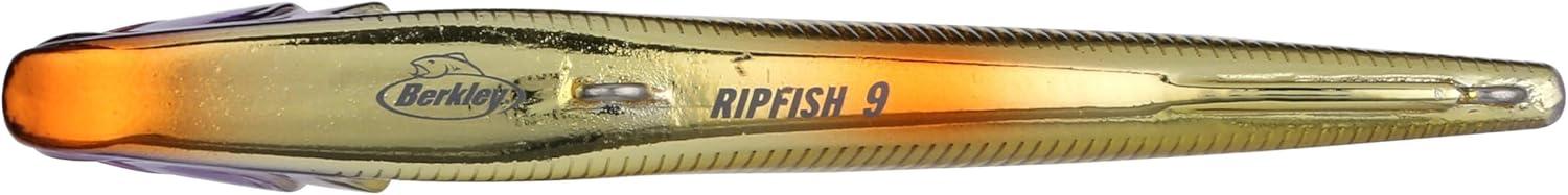 imageBerkley Ripfish Fishing Hard BaitViking Perch