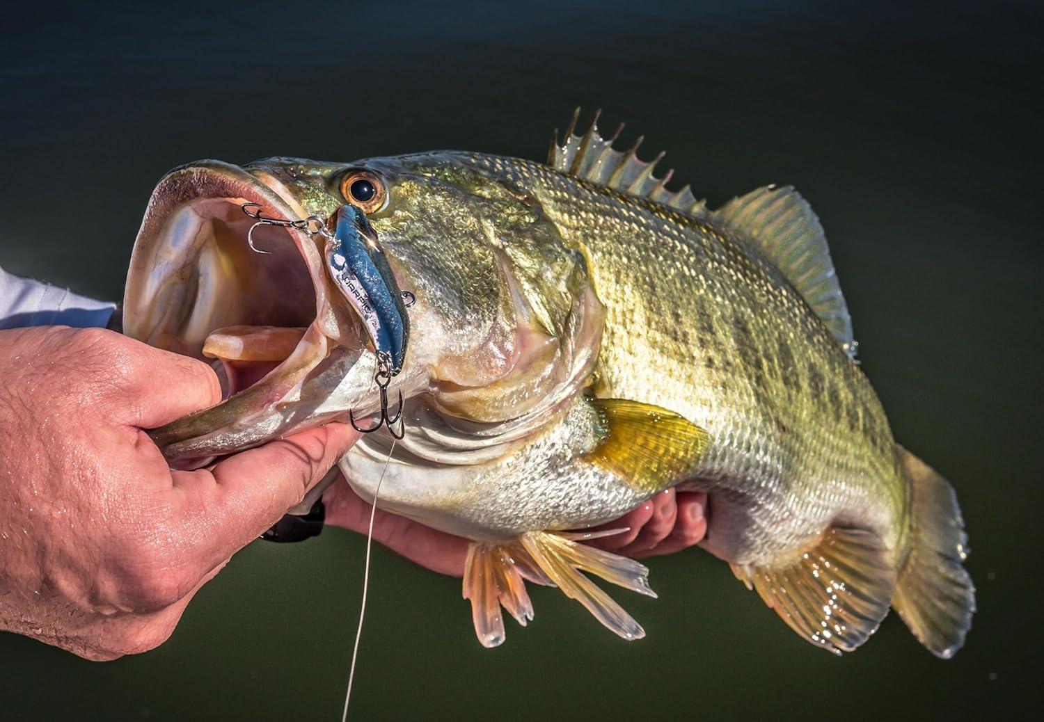 imageBerkley Warpig Fishing Hard BaitSexier Shad