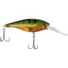 Flashy Perch Pro Pack