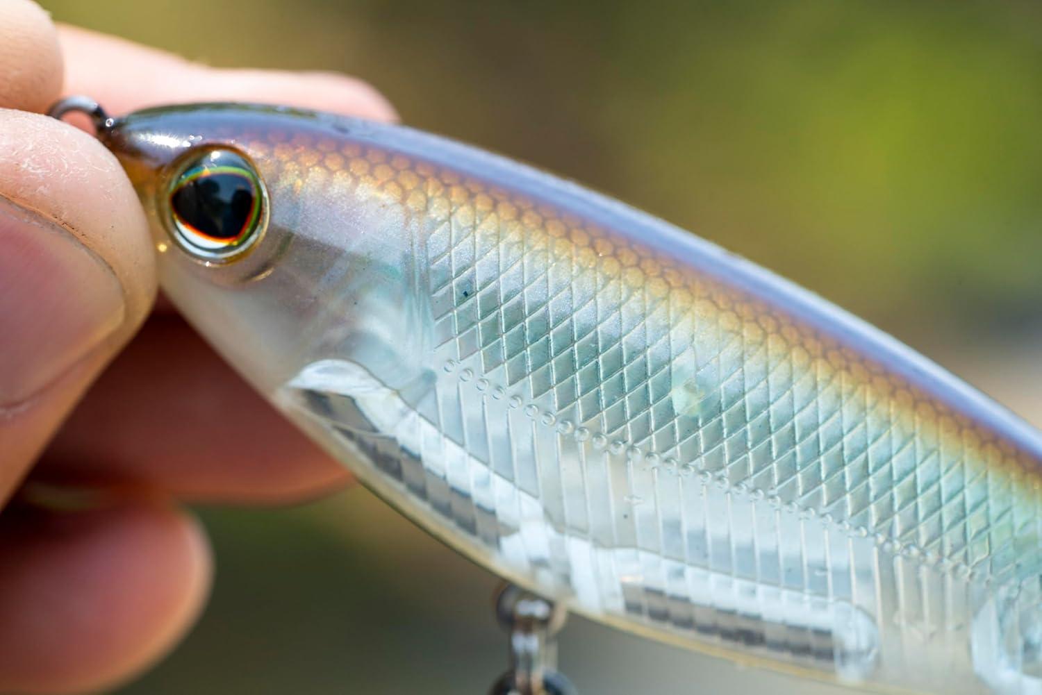 imageBerkley Choppo Fishing Hard BaitMF Frog