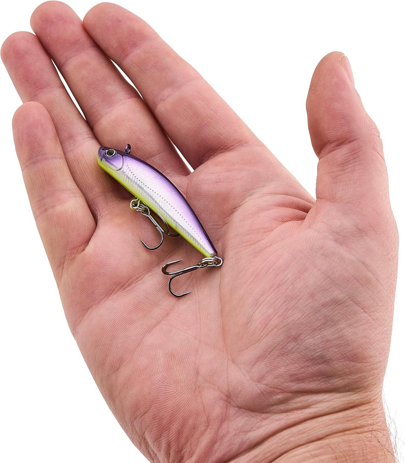 imageBerkley Finisher Fishing Hard BaitPurple Slime