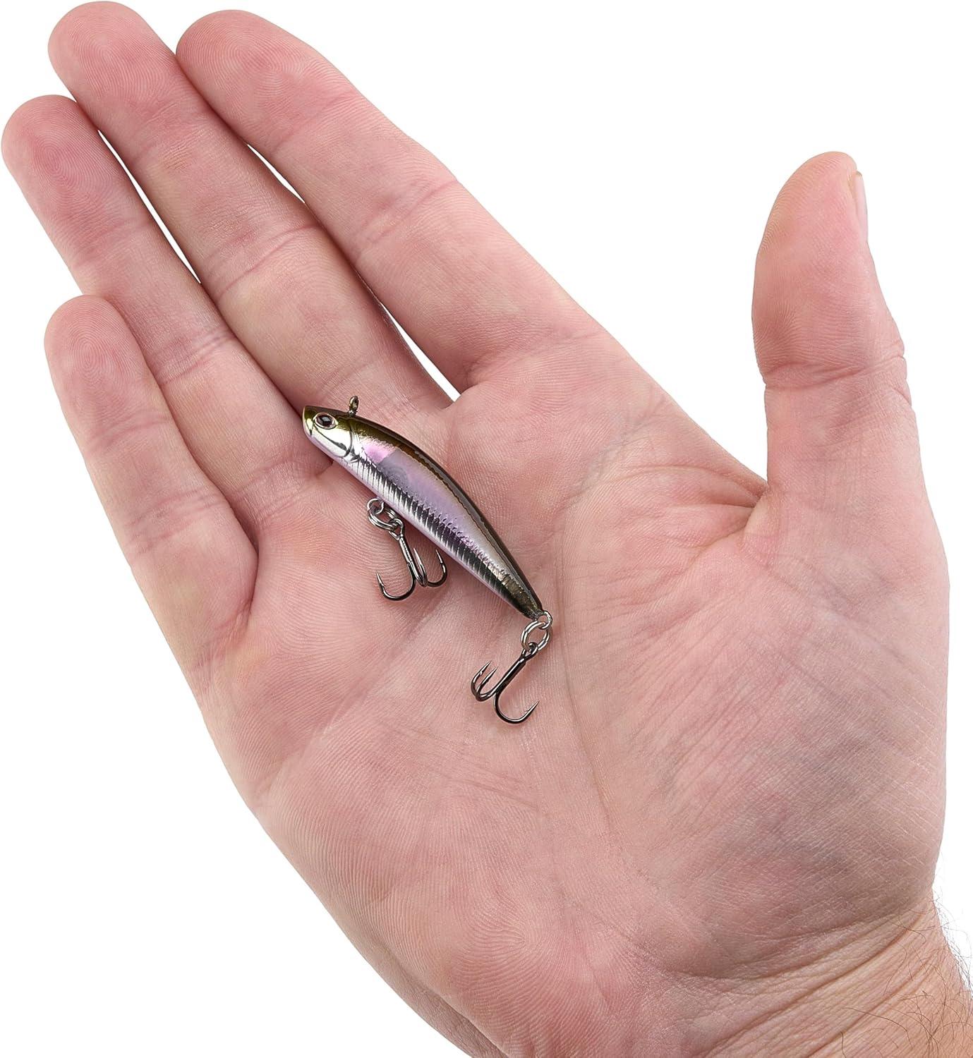 imageBerkley Finisher Fishing Hard BaitWakasagi