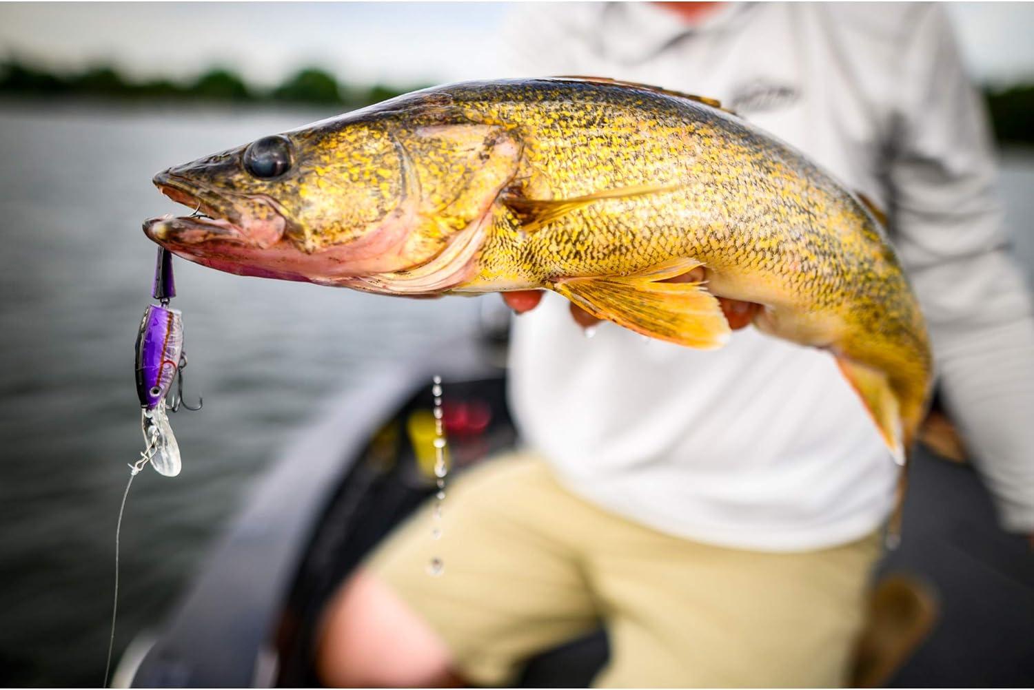 imageBerkley Flicker Shad Jointed Fishing Hard BaitFiretail MF Hot Firetiger