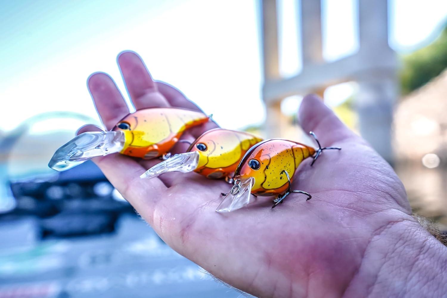 imageBerkley Frittside Fishing Hard BaitCraw Assorted 3 Pack