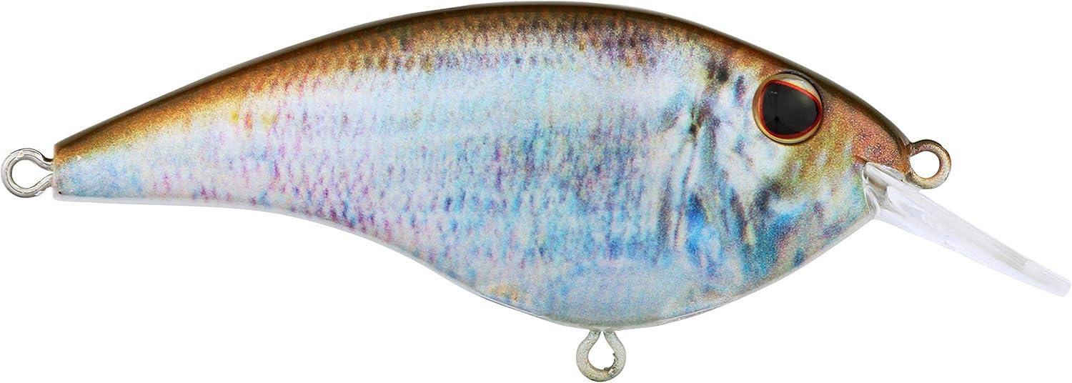 imageBerkley Frittside Fishing Hard BaitHD Blueback Herring