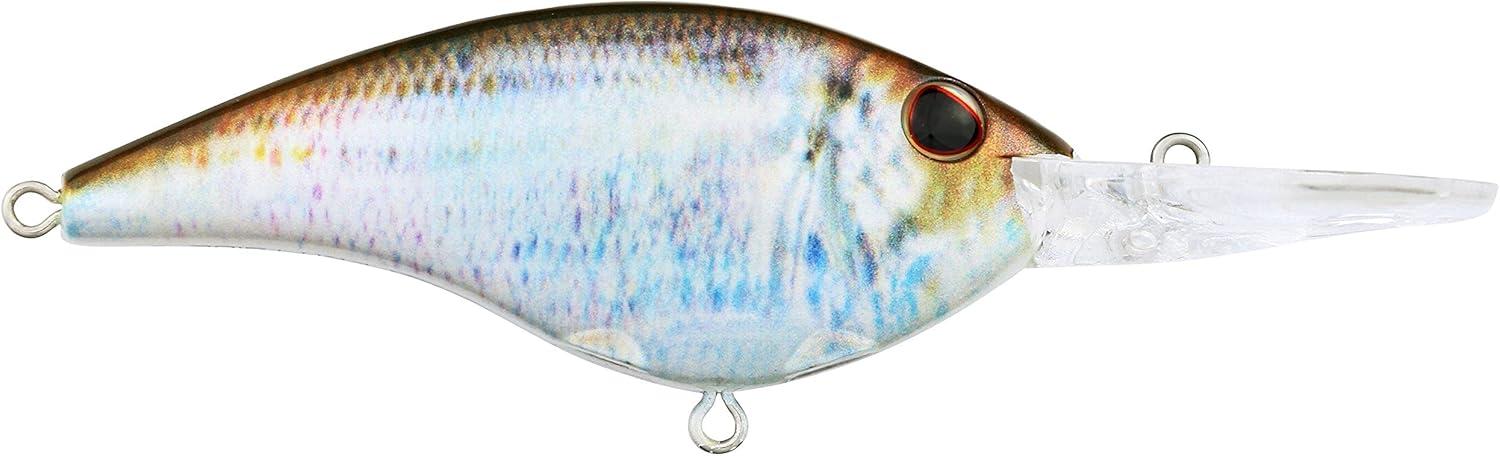 imageBerkley Frittside Fishing Hard BaitHD Blueback Herring