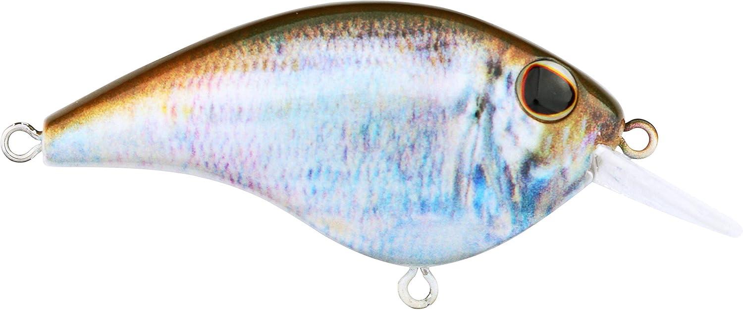 imageBerkley Frittside Fishing Hard BaitHD Blueback Herring