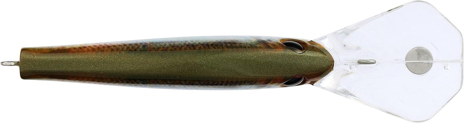 imageBerkley Frittside Fishing Hard BaitHD Blueback Herring