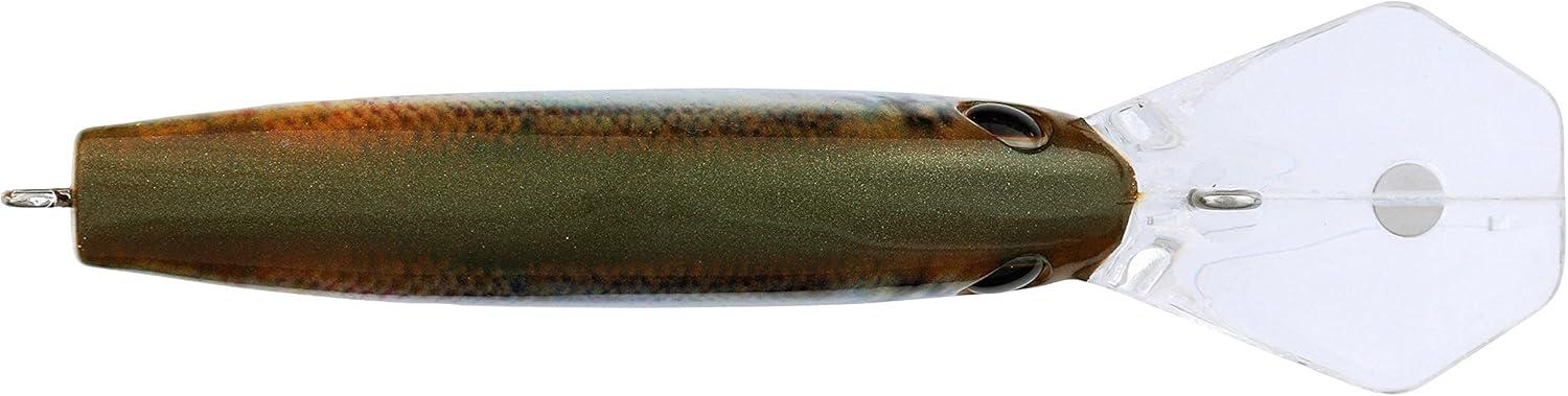 imageBerkley Frittside Fishing Hard BaitHD Blueback Herring