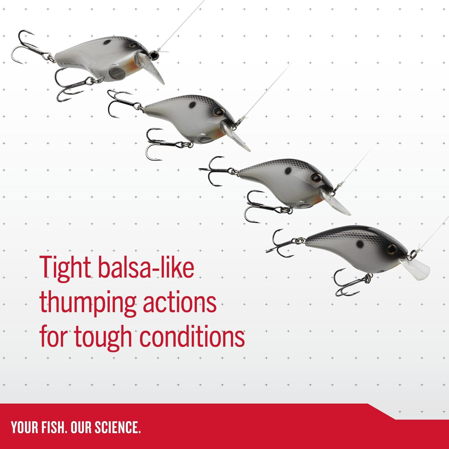 imageBerkley Frittside Fishing Hard BaitShad Assorted 3 Pack