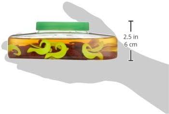 imageBerkley Gulp Alive Swimming Mullet Saltwater Fishing Soft BaitRoot Beer GoldChartreuse