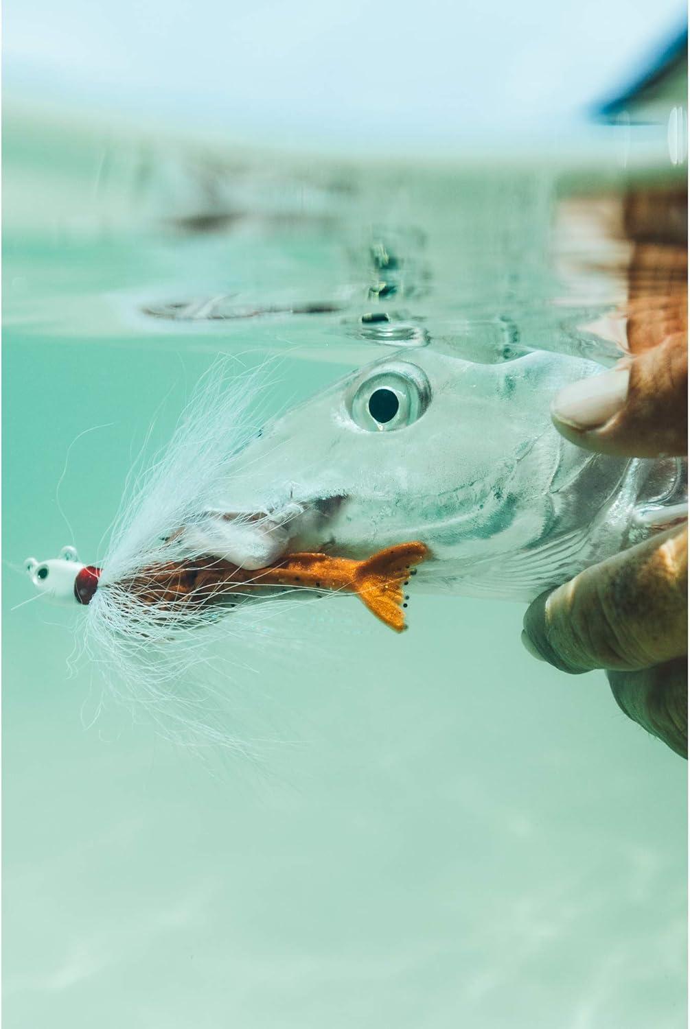 imageBerkley Gulp Shrimp Saltwater Fishing Soft BaitPearl WhitePink