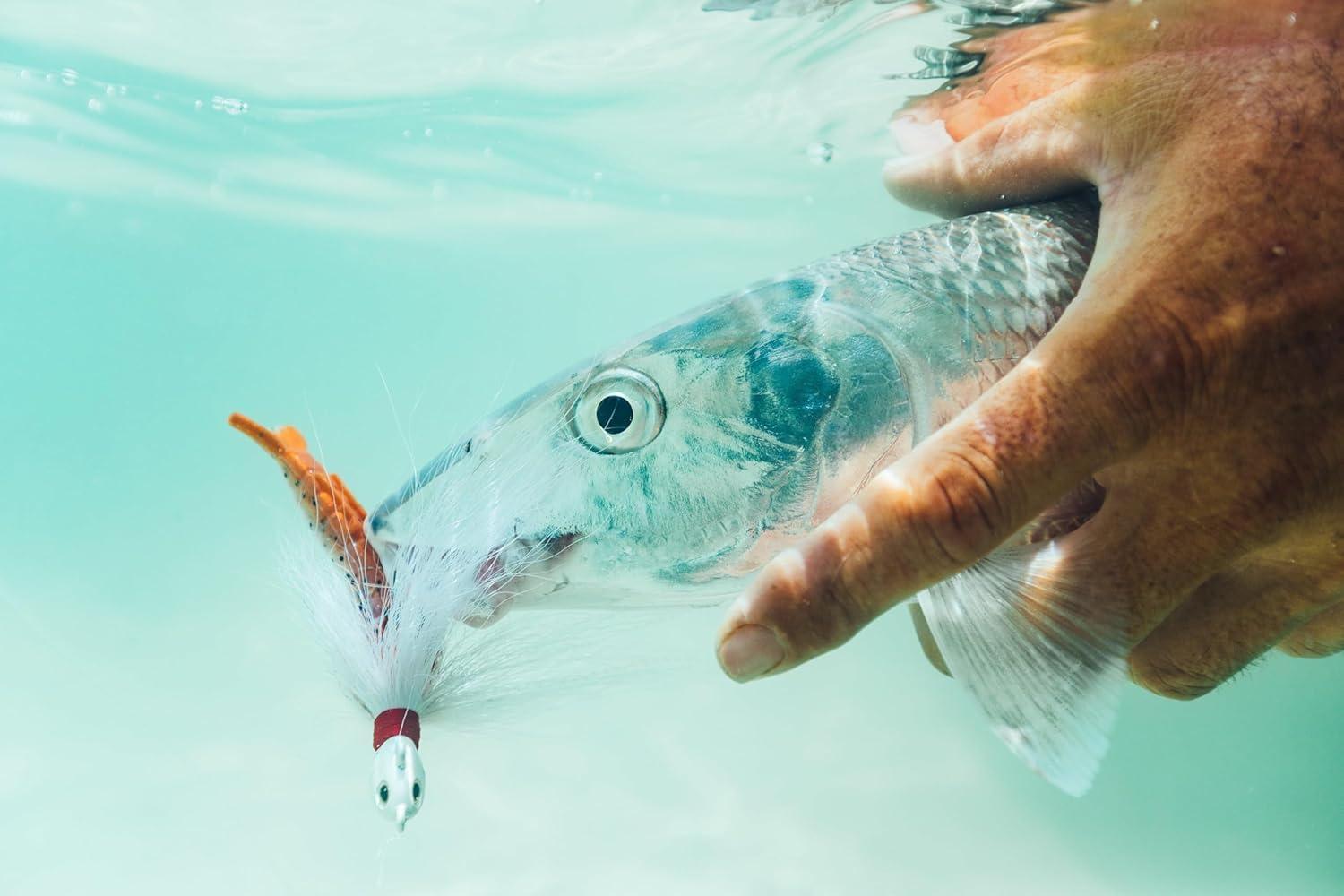 imageBerkley Gulp Shrimp Saltwater Fishing Soft BaitSugar and Spice Glow