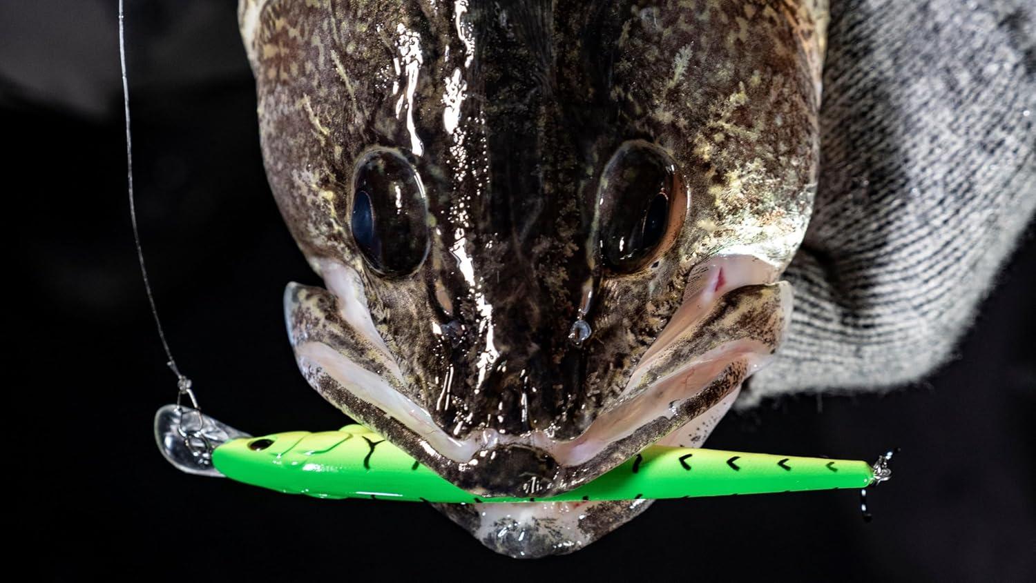 imageBerkley Hit Stick Fishing Hard BaitRainbow Trout