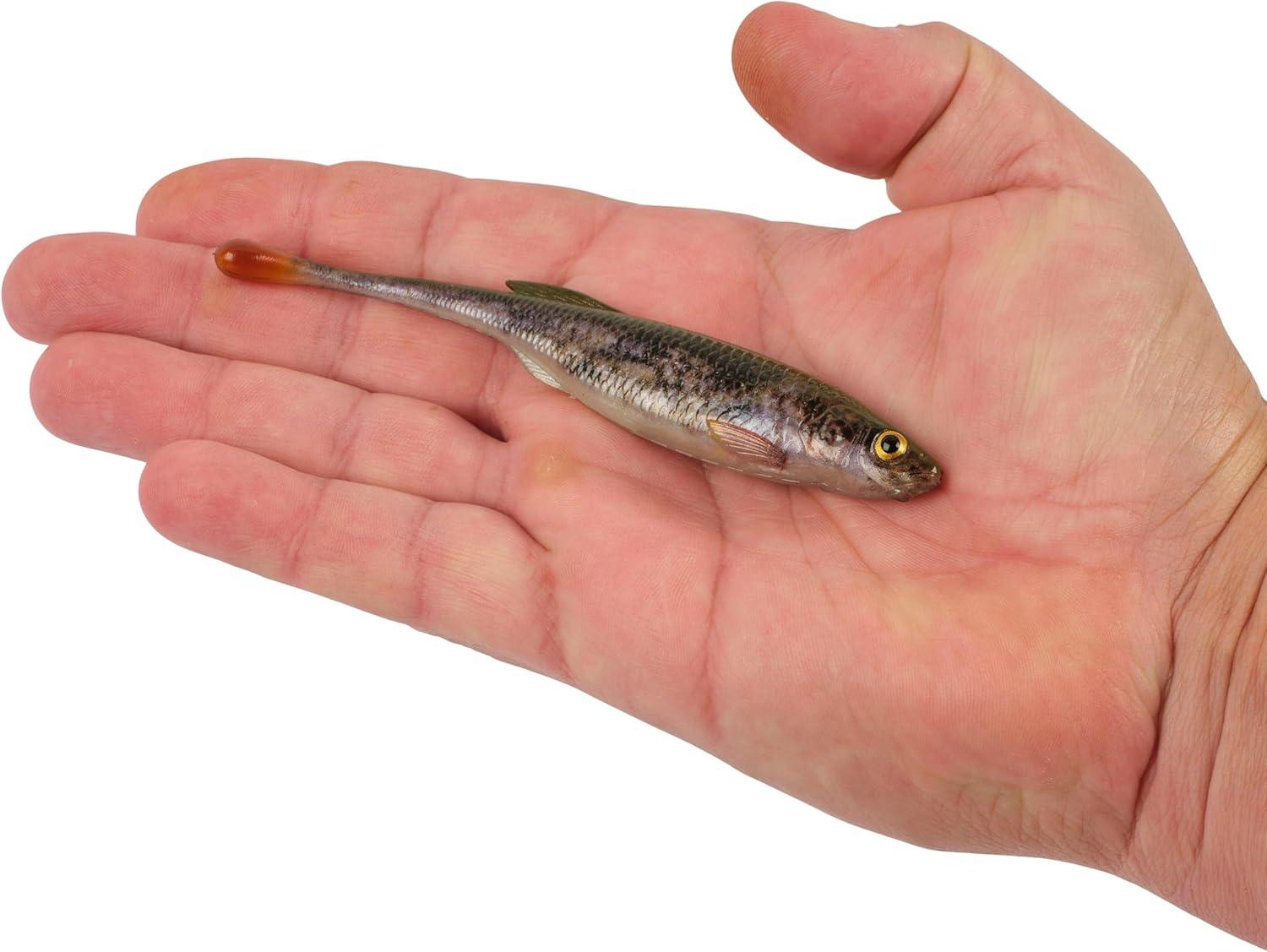 imageBerkley PowerBait Drip Minnow Fishing Soft BaitHD Goby