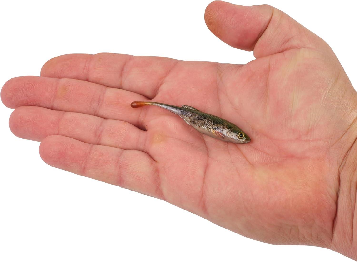imageBerkley PowerBait Drip Minnow Fishing Soft BaitHD Goby
