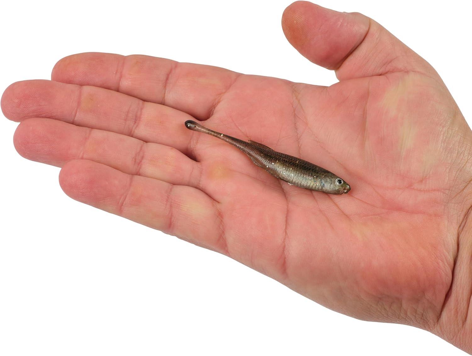 imageBerkley PowerBait Drip Minnow Fishing Soft BaitHD Spottail Shiner