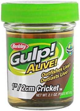 imageGulp Alive Cricket Fishing BaitMulti