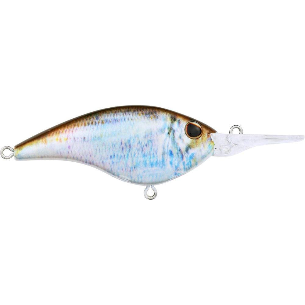 imageBerkley Frittside Fishing Hard BaitHD Blueback Herring