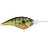 HD Bluegill