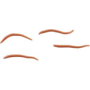 Alive Angle Worm by Berkley(Natural)
