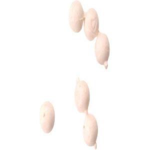 Berkley Berkley Gulp Floating Salmon Eggs 0 56 Ounce(White)