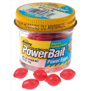 Berkley PowerBait Power Eggs Floating Magnum Fishing Soft Bait(Pink – Original Scent)