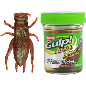 Gulp Alive Cricket Fishing Bait(Multi)