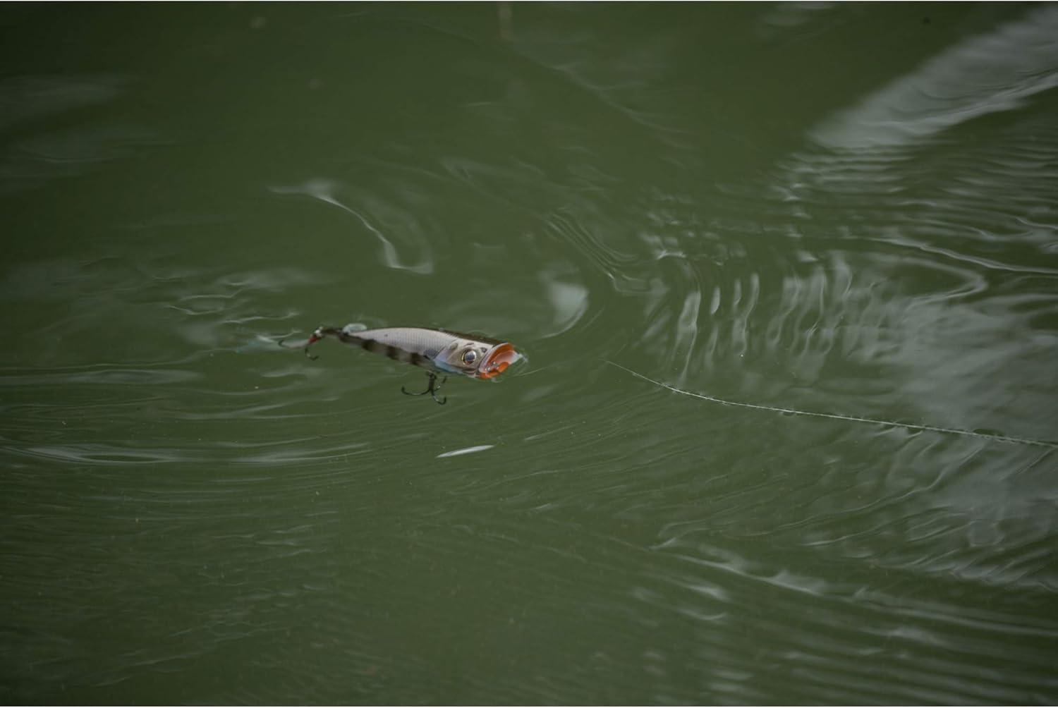 imageBerkley Bullet Pop Topwater Fishing Lure MF Frog 25 oz 70mm 275in Topwater Tail Weighted Design Tuned for Maximum Casting Distance Equipped with Fusion19 Hook