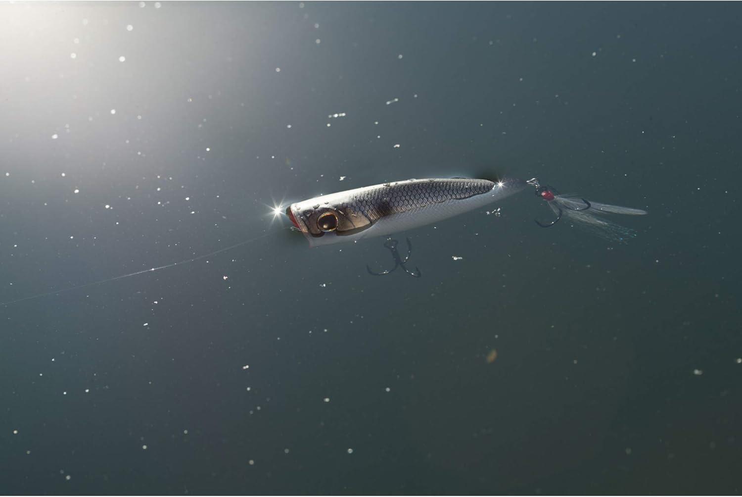 imageBerkley Bullet Pop Topwater Fishing Lure MF Frog 25 oz 70mm 275in Topwater Tail Weighted Design Tuned for Maximum Casting Distance Equipped with Fusion19 Hook