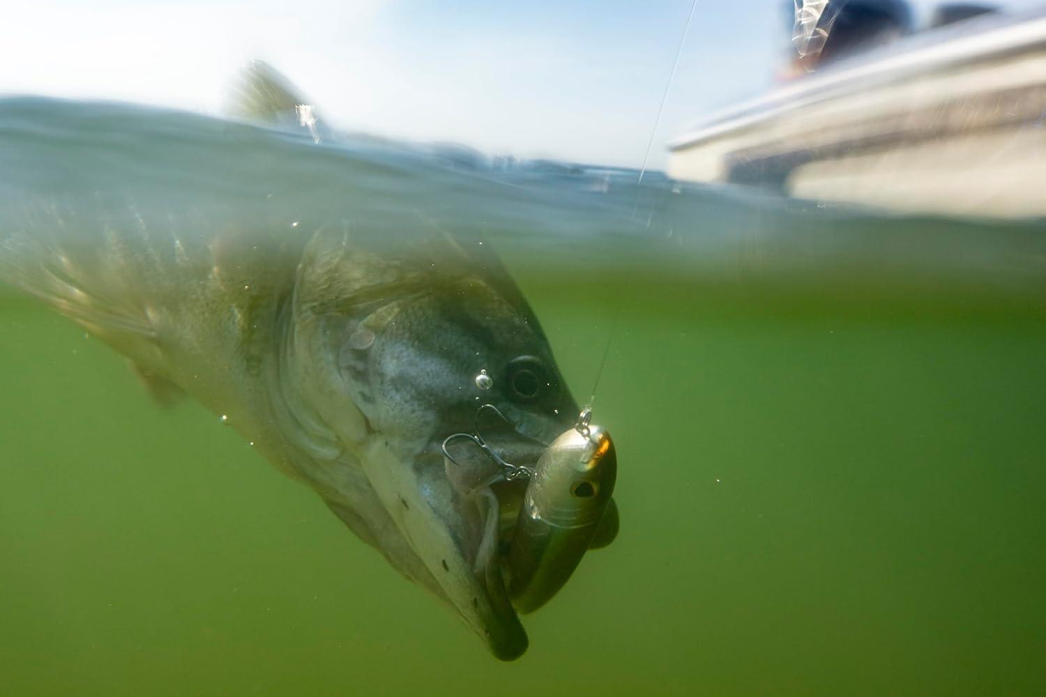 imageBerkley Choppo Topwater Fishing Lure Ghost Bluegill Size 90 Cupped Propeller Tail for Balance of Sound and Spray Equipped with Sharp Fusion19TM Hook