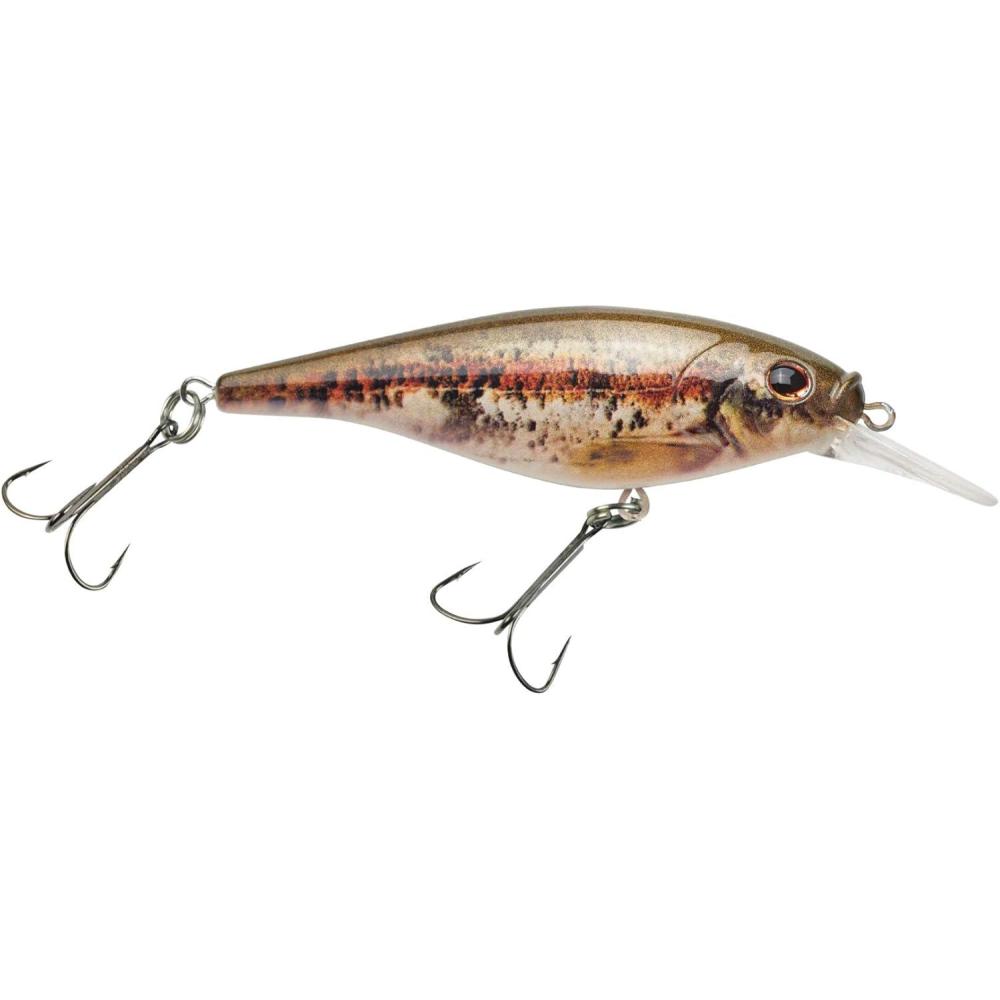 imageBerkley FFSHHD Blacknose Dace