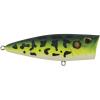 imageBerkley Bullet Pop Topwater Fishing Lure MF Frog 25 oz 70mm  275in Topwater Tail Weighted Design Tuned for Maximum Casting Distance Equipped with Fusion19 Hook