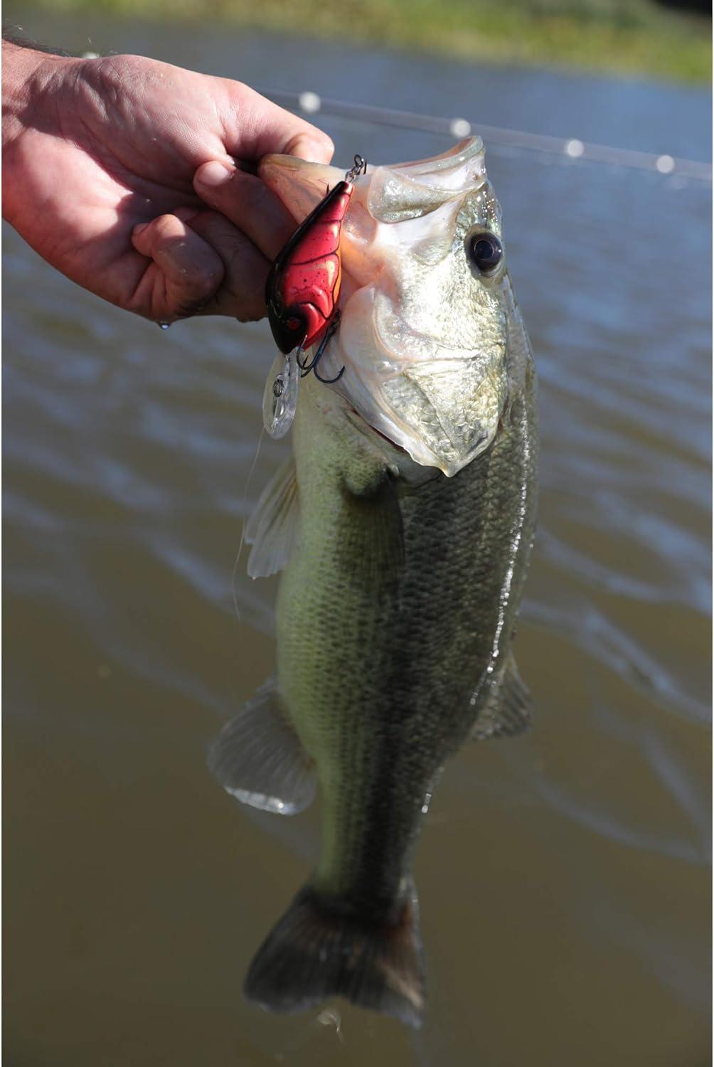 imageBerkley Dredger Fishing Hard BaitHD Tennessee Shad