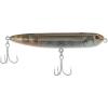Mangrove Minnow