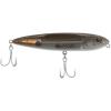 Mangrove Minnow