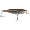 Mangrove Minnow