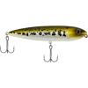 Baby Bass