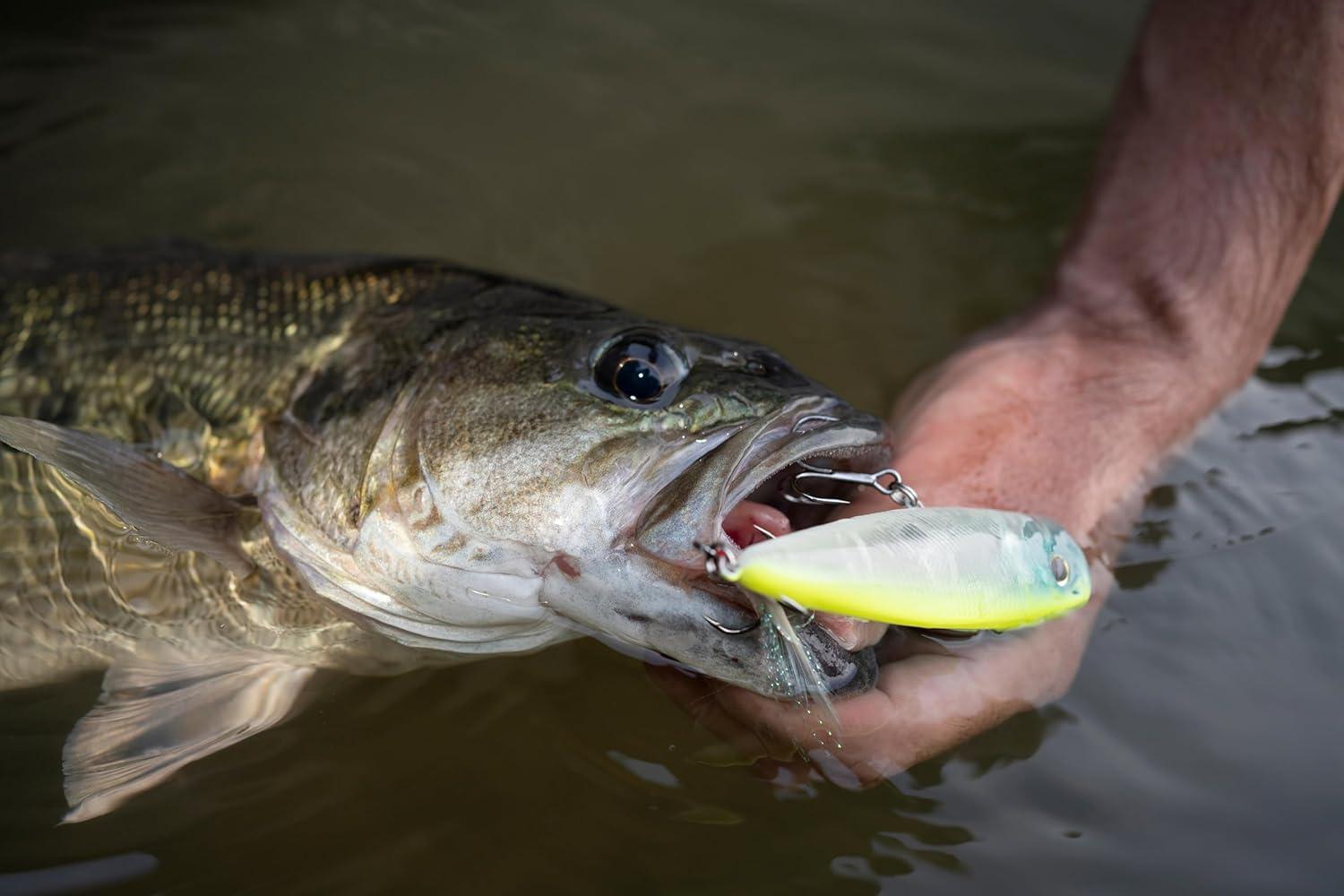 imageBerkley Bullet Pop Fishing Hard BaitPerfect Ghost
