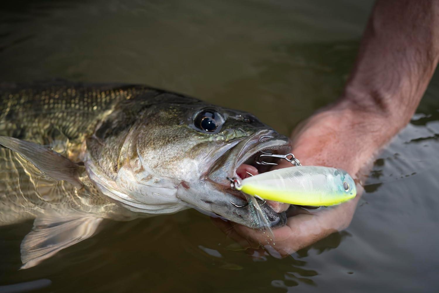 imageBerkley Choppo Topwater Fishing Lure HD Threadfin Shad Size 75 Cupped Propeller Tail for Balance of Sound and Spray Equipped with Sharp Fusion19TM Hook