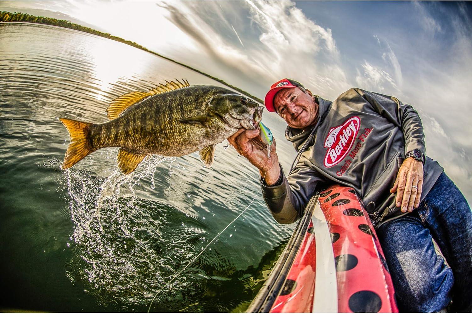imageBerkley Crankbait Hard Fishing LuresGilly